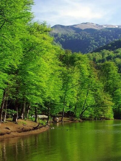 Ծառայություններ