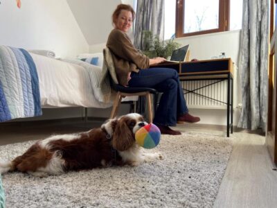 Կոդ–DJ46 Հյուրանոցի սենյակ