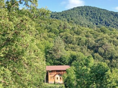 Կոդ–DJ66 Առանձնատուն