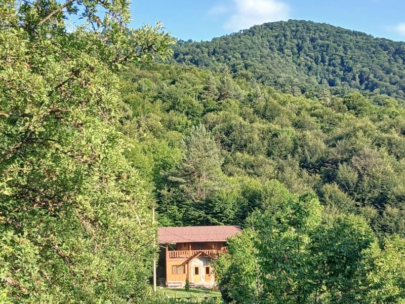 Կոդ–DJ66 Առանձնատուն