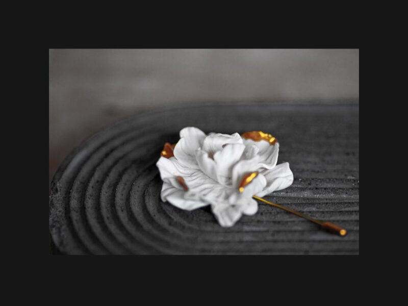 Կոդ–VD1 Վարպետաց դաս՝ կրծքազարդերի պատրաստում