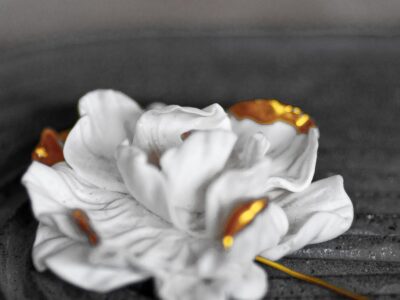 Կոդ–VD1 Վարպետաց դաս՝ կրծքազարդերի պատրաստում