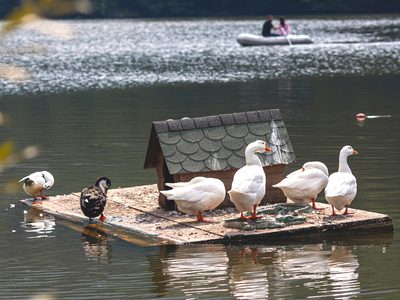 Կոդ–DG2 Քայլարշավ Պարզ լճից Գոշավանք