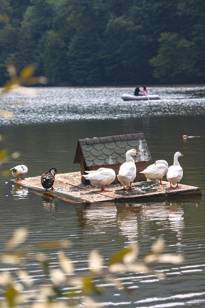 Կոդ–DG2 Քայլարշավ Պարզ լճից Գոշավանք