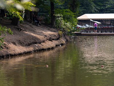 Կոդ–DG2 Քայլարշավ Պարզ լճից Գոշավանք