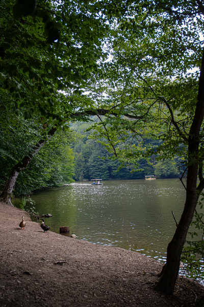 Կոդ–DG2 Քայլարշավ Պարզ լճից Գոշավանք