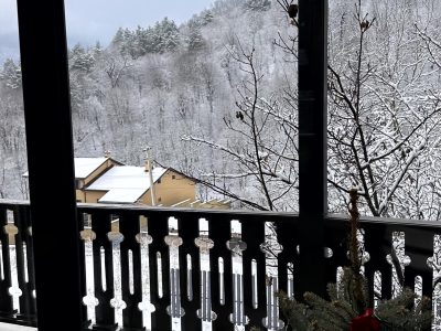 Կոդ–DJ79 Առանձնատուն