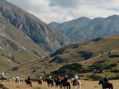 Կոդ-DZ1 Ձիավարություն
