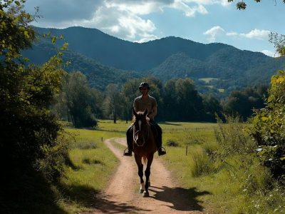 Կոդ-DZ1 Ձիավարություն