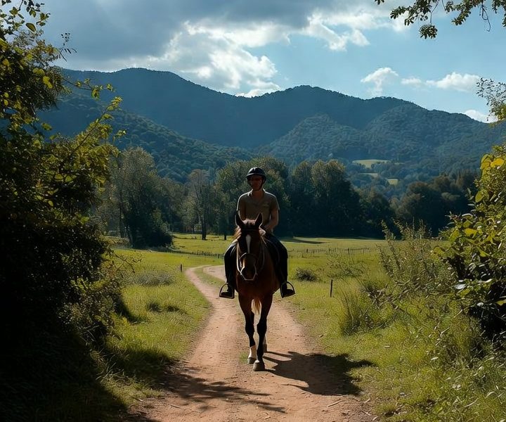 Կոդ-DZ1 Ձիավարություն