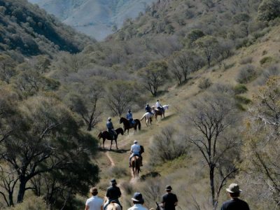 Կոդ-DZ1 Ձիավարություն