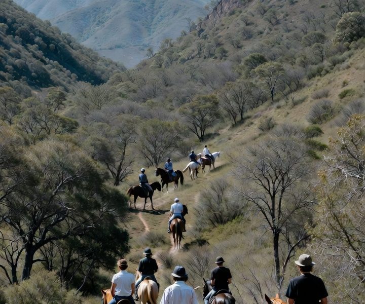 Կոդ-DZ1 Ձիավարություն